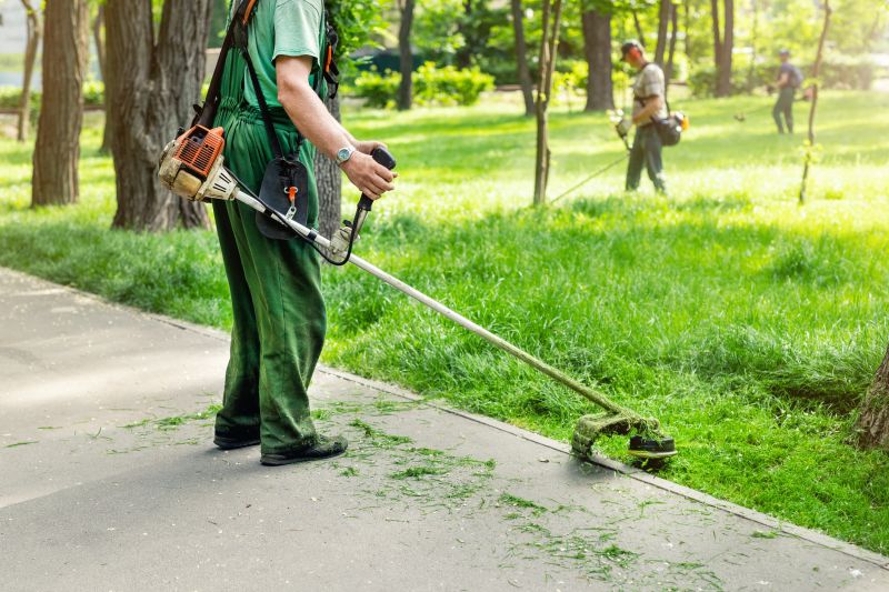 Walnut Tree Trimming