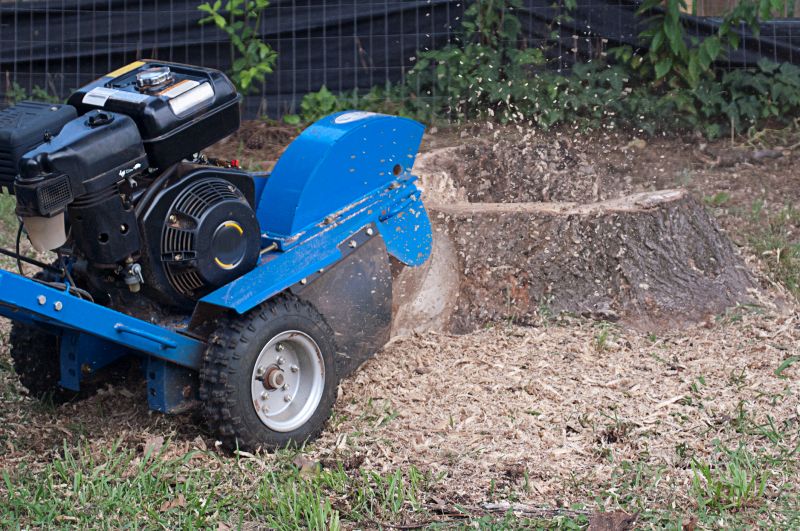 Stump Grinding Service in Calvert County, MD