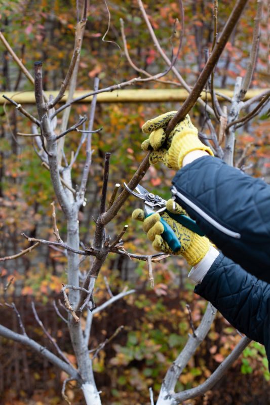 Enhance Fruit Production